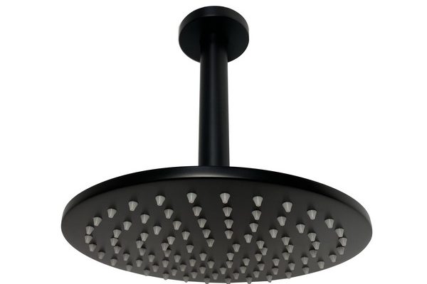Showerheads<br> (ceiling mounted)